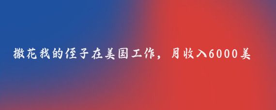 撒花我的侄子在美國工作，月收入6000美元，稅后5000美元（約35000人